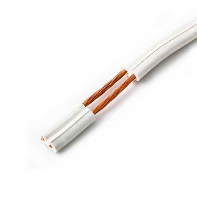 Cable Gemelo 2X10 (Diez Metros)