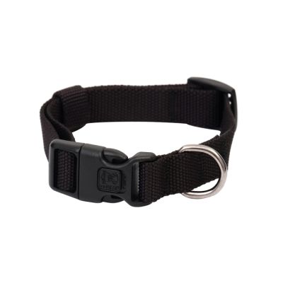 Collar Perro Negro M-Pets