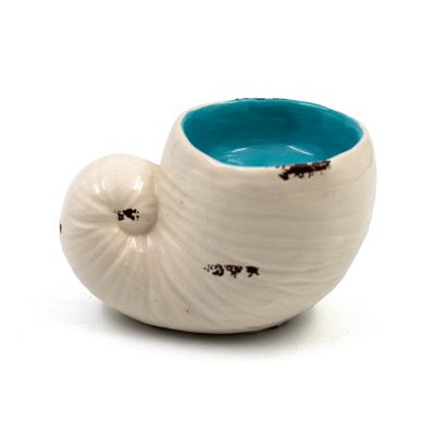 Adorno Concha Blanco/Turquesa 13x8.5cm Decore