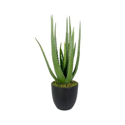 Planta Artificial Aloe Vera 37cm con Pote Concepts