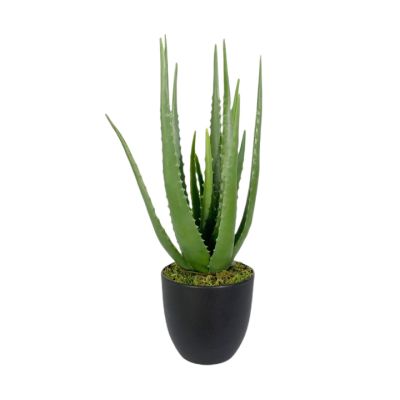Planta Artificial Aloe Vera 47cm con Pote Concepts