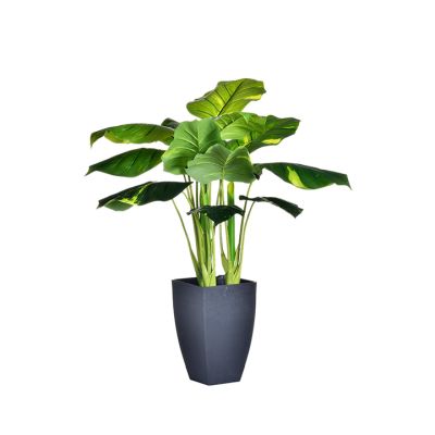 Planta con Pote Hojas Grandes 65Cm Noritex (592-143052)