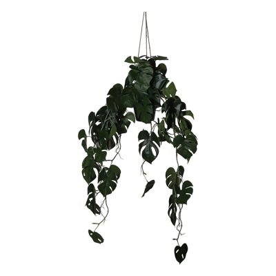 Planta Colgante con Hojas Huecas  M 52X35x105cm Noritex (592-143189)