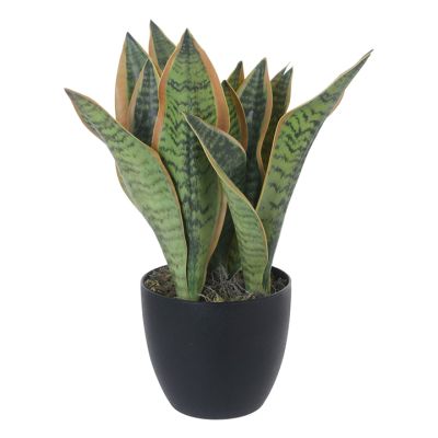 Agave con Pote Decorativa 35X35x35cm Concepts (592-460027)