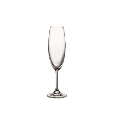 Copa Champagne Vidrio 5.6oz Vidriera Otún CS06 – Celebración Refinada