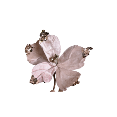 Flor navideña Poinsettia 20 cm – champagne 5 pétalos Miro