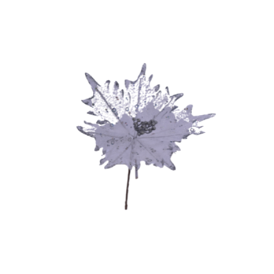 Flor navideña Poinsettia 30 cm – color plata Miro