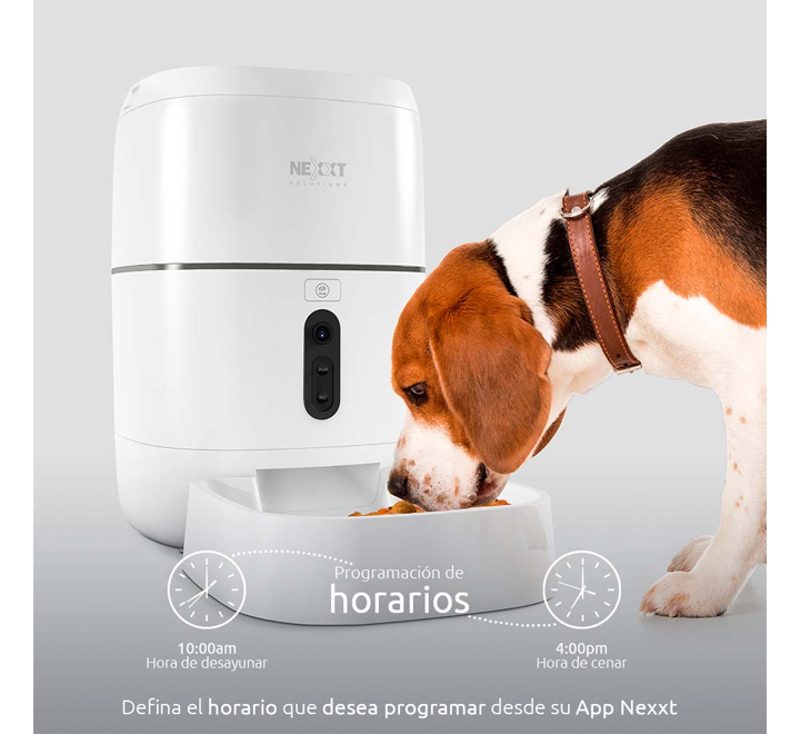 Cámara Interior (Nocturna) Wifi Smart 1080px NEXXT (AHIMPFI4U1)  (MM105NXT05) - Kitton Home Center