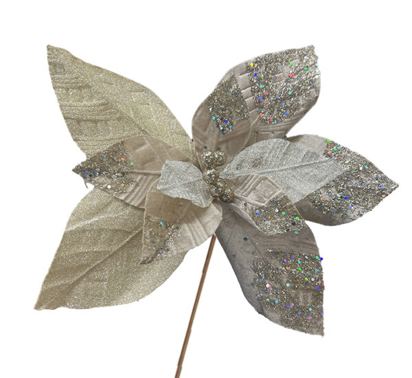 Flor Navideña Poinsettia 35Cm Champagne MIRO (249613)