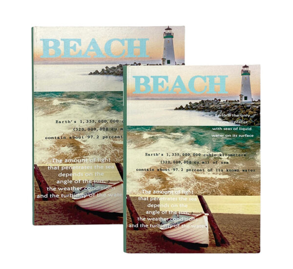 Juego Caja De Libros 2 Piezas Beach 30x24x8Cm CONCEPTS (449-746811)
