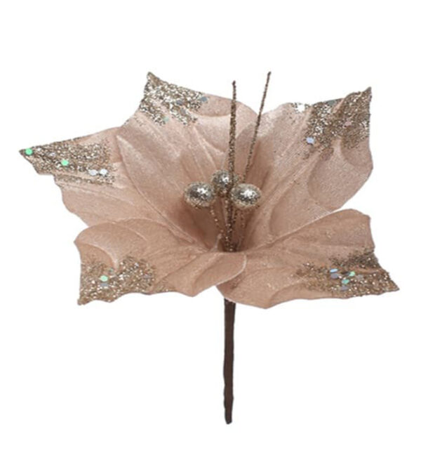 Flor Navideña Poinsetia 20Cm Champagne MIRO(202076)(24040)